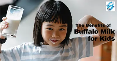 Find the Best Buffalo Milk for kids in Gurgaon