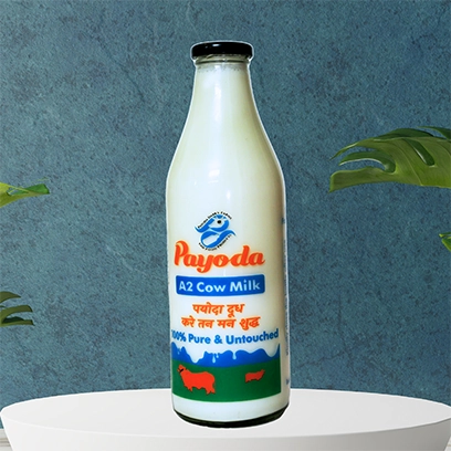 order fresh milk online Gurgaon