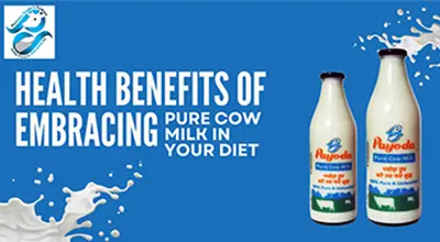 Unlocking the Health Benefits of Pure Cow Milk