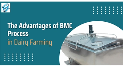 Bulk Chilling Machine Process in Dairy Farms