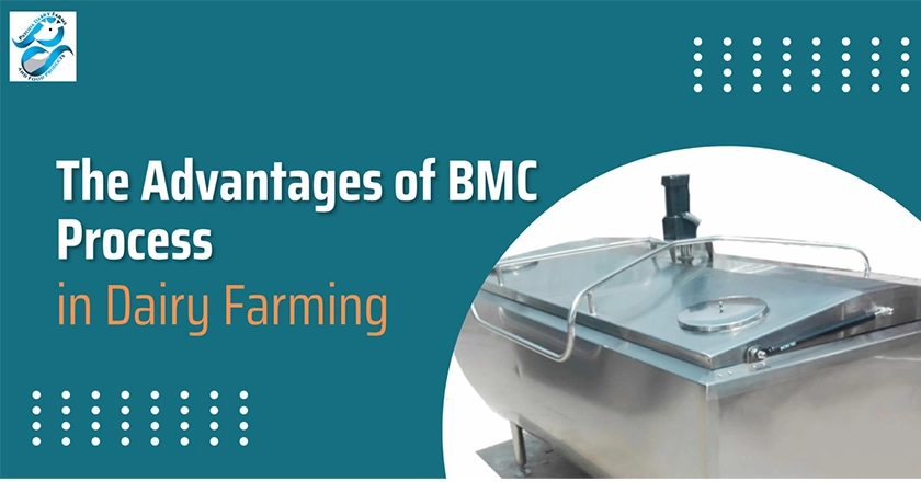 Bulk Chilling Machine Process in Dairy Farms