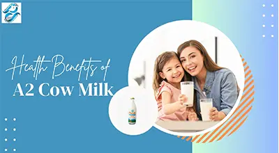 A2 Cow Milk's Benefits