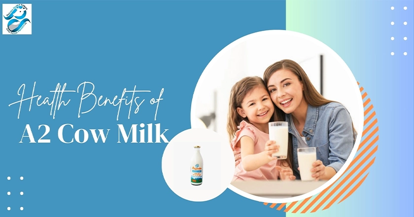 A2 Cow Milk's Benefits 