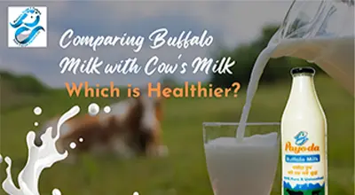 Comparing Buffalo Milk vs. Cow's Milk: Unveiling Health Benefits