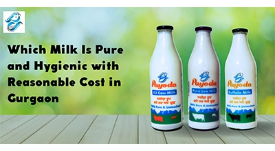 Pure and Hygienic Milk with Reasonable Cost in Gurgaon